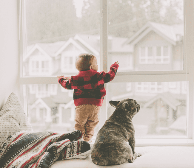 indoor air quality 1