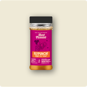 FlyPunch! Fruit Fly Trap